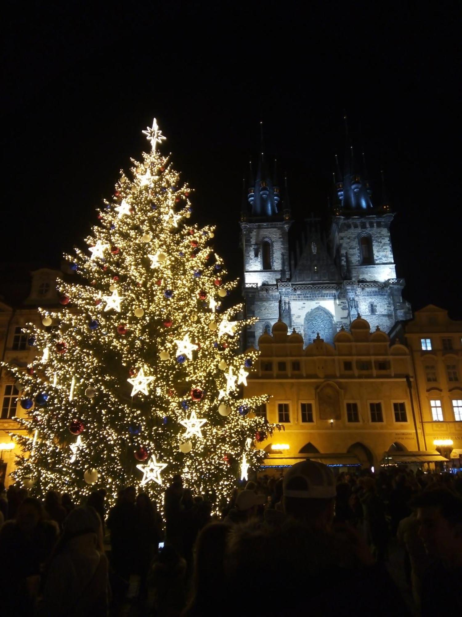 Apartricanova Prag Exteriör bild